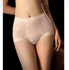 Luxury Lace High Waist Women’s Panty ( Set Of 03 )